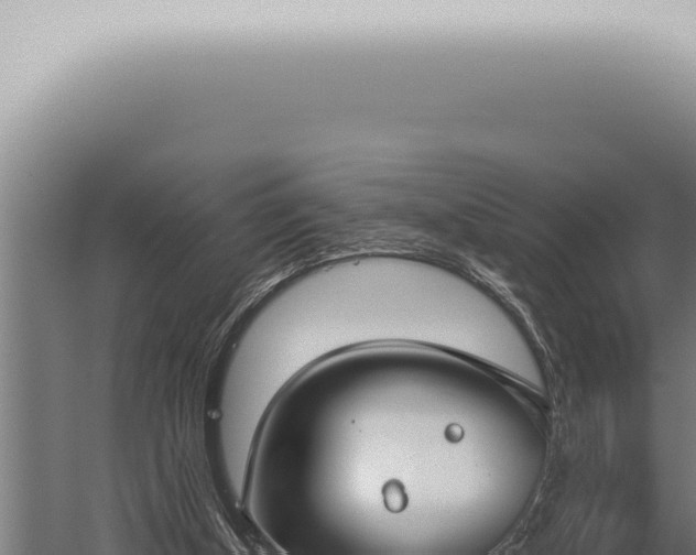 X0000059830154200510281807