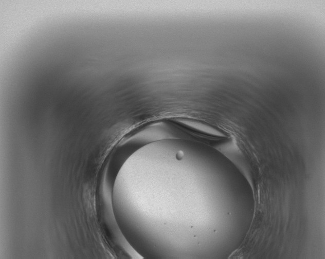 X0000059830156200510281807