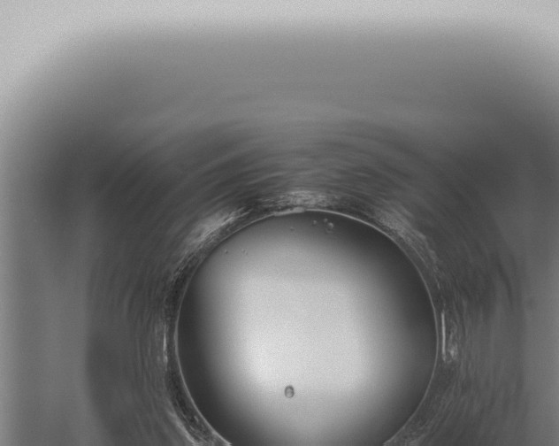 X0000059830157200510281807