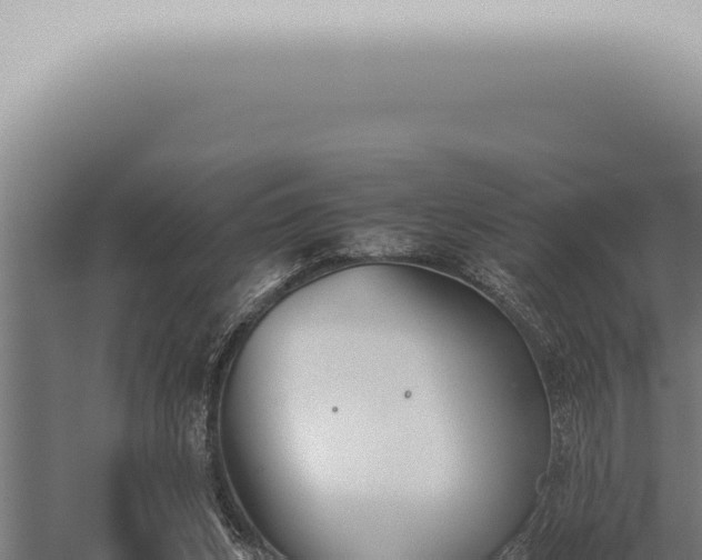 X0000059830159200510281807