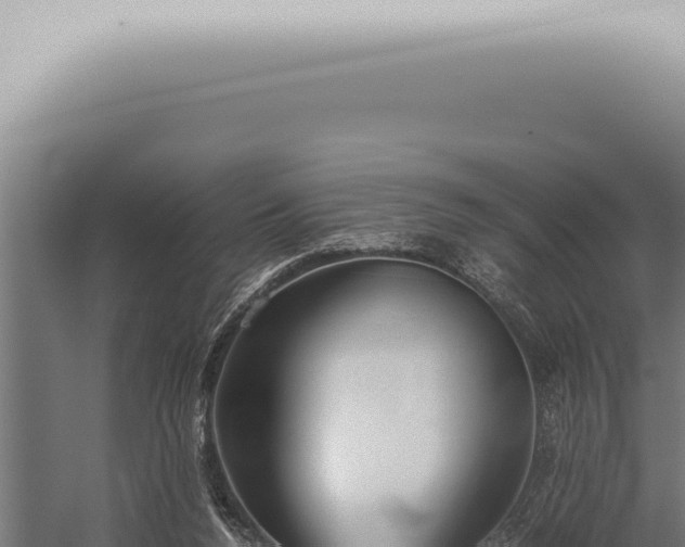 X0000059830160200510281807