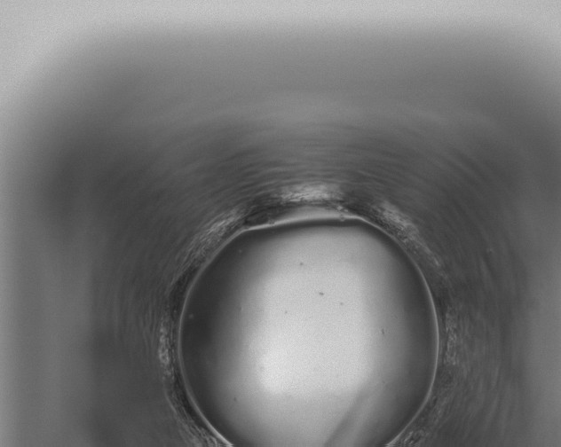 X0000059830161200510281807