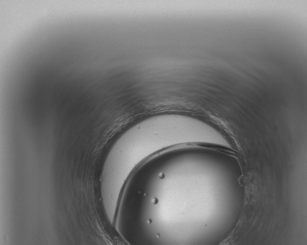 X0000059830162200510281807