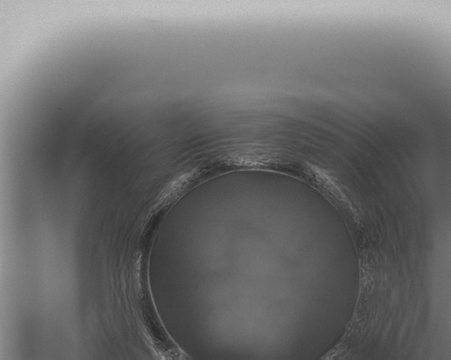 X0000059830163200510281807