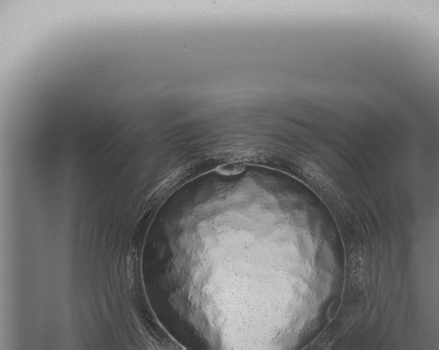 X0000059830165200510281807