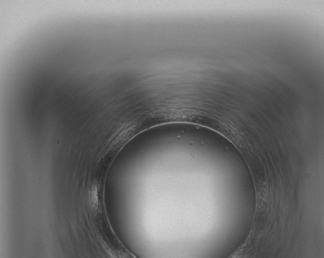 X0000059830166200510281807