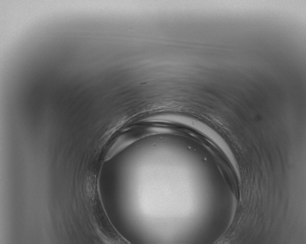 X0000059830168200510281807