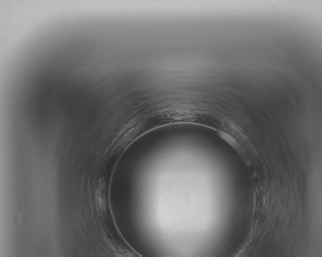 X0000059830170200510281807