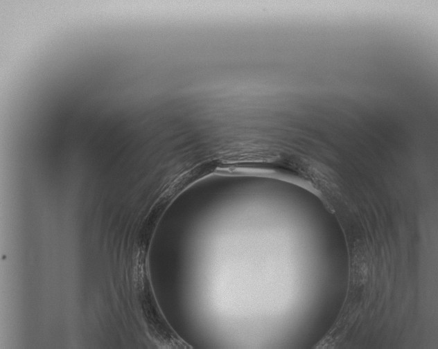 X0000059830172200510281807