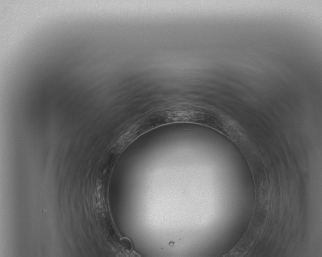 X0000059830173200510281807