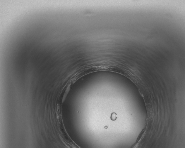 X0000059830174200510281807