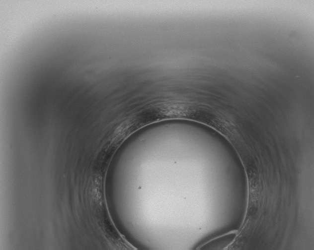 X0000059830175200510281807