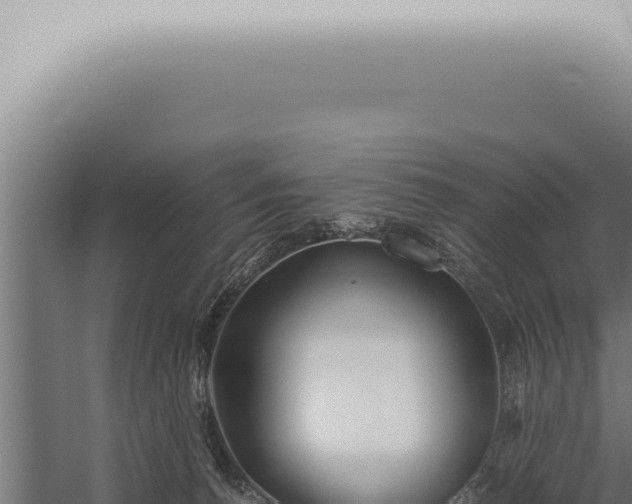 X0000059830176200510281807