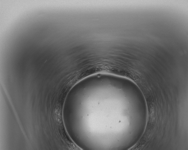 X0000059830177200510281807