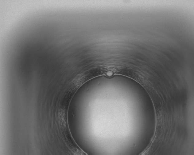 X0000059830178200510281807