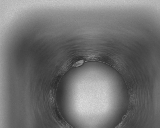 X0000059830179200510281807