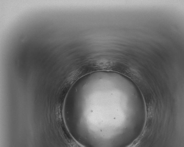 X0000059830182200510281807