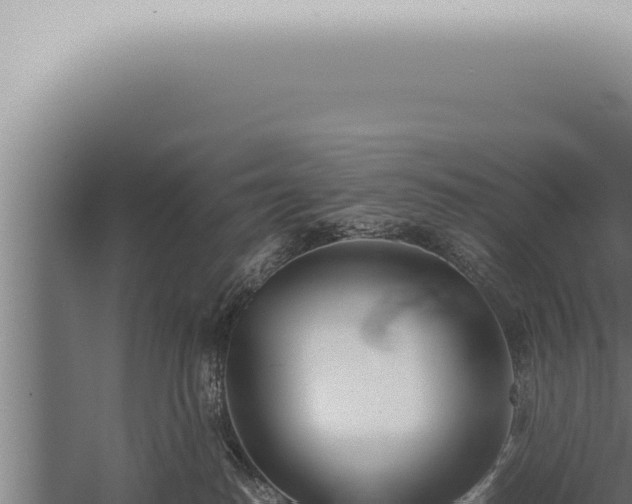 X0000059830186200510281807