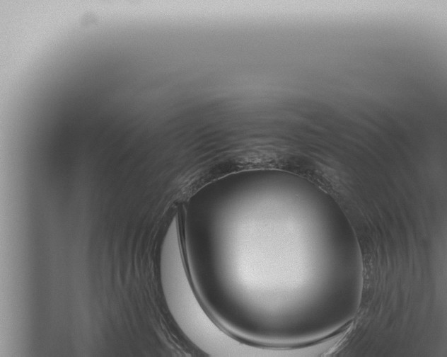 X0000059830187200510281807