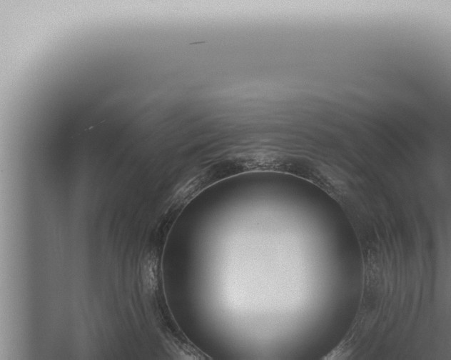 X0000059830188200510281807