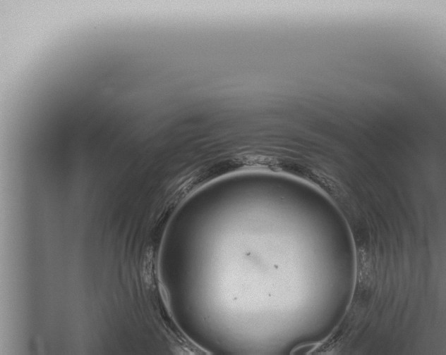 X0000059830189200510281807