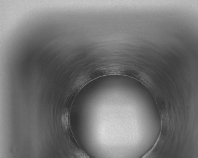 X0000059830190200510281807