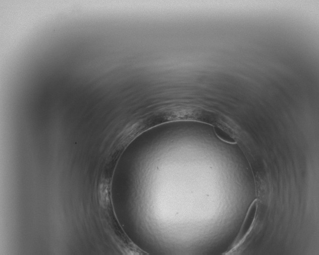 X0000059830191200510281807