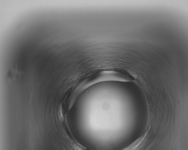 X0000059830192200510281807