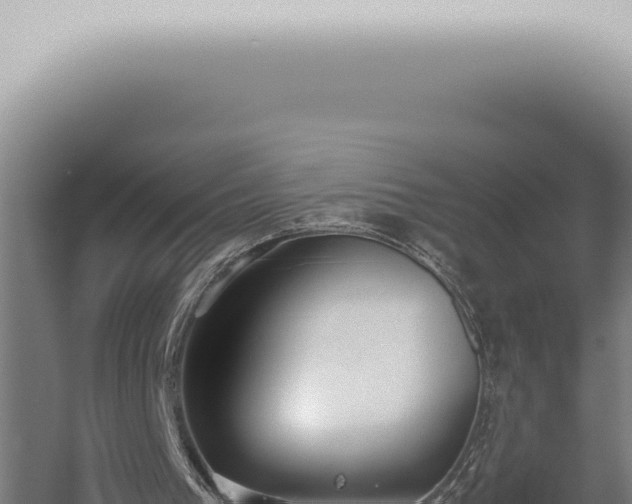 X0000059830193200510281806