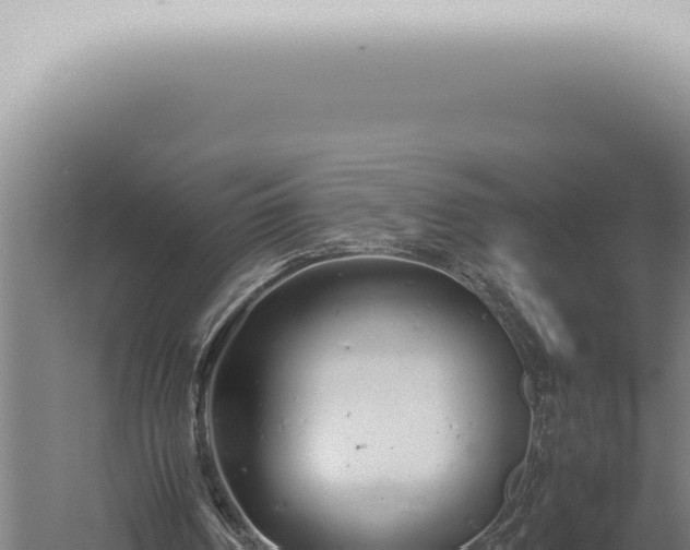 X0000059830194200510281806