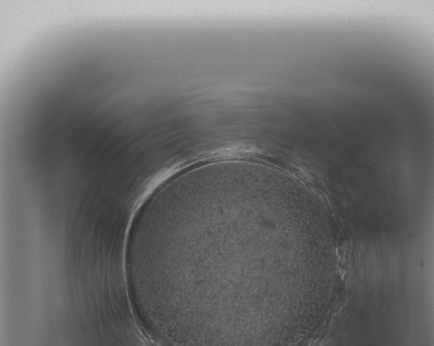 X0000059830196200510281806