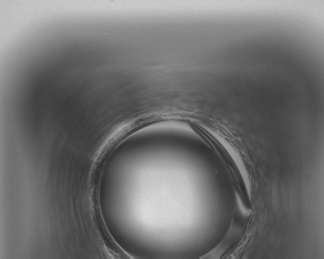 X0000059830197200510281806