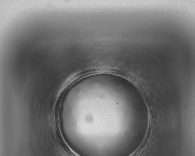 X0000059830198200510281806