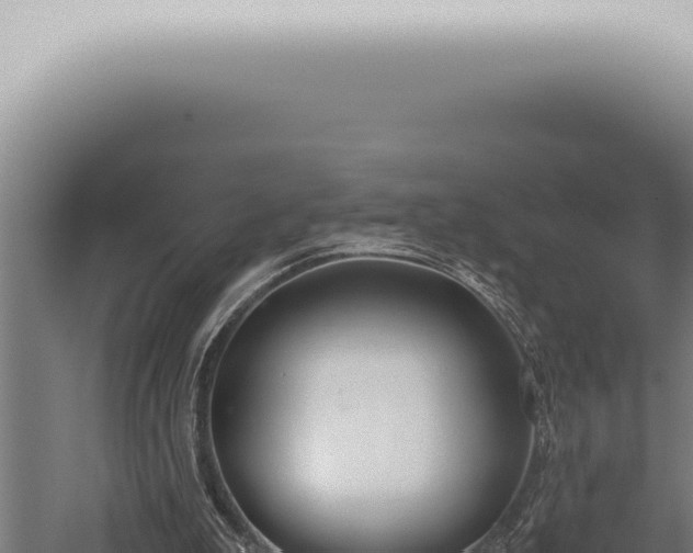 X0000059830199200510281806