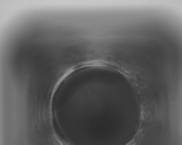 X0000059830200200510281806