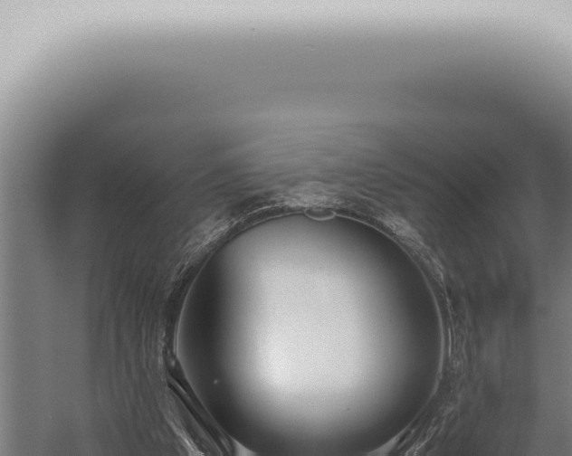 X0000059830201200510281806