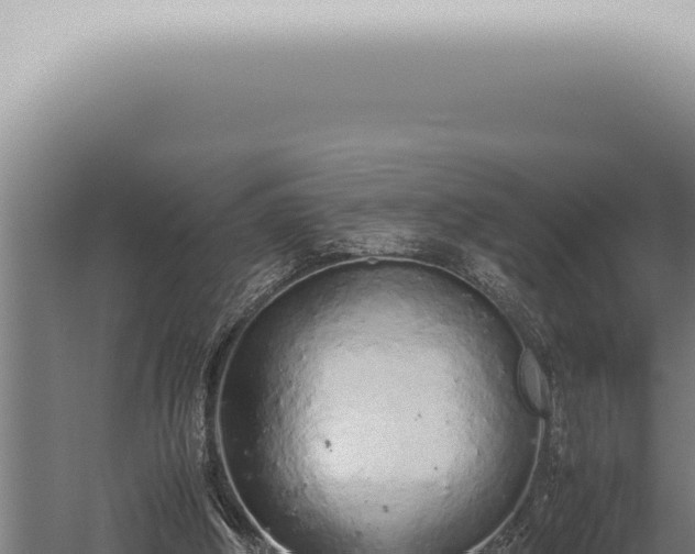 X0000059830202200510281806