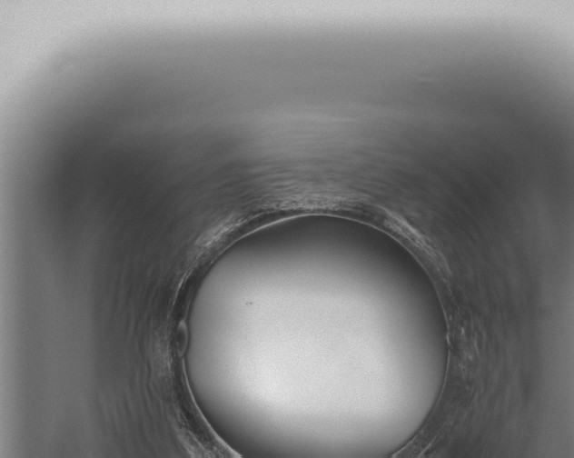 X0000059830203200510281806