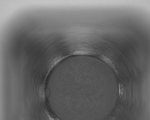 X0000059830204200510281806