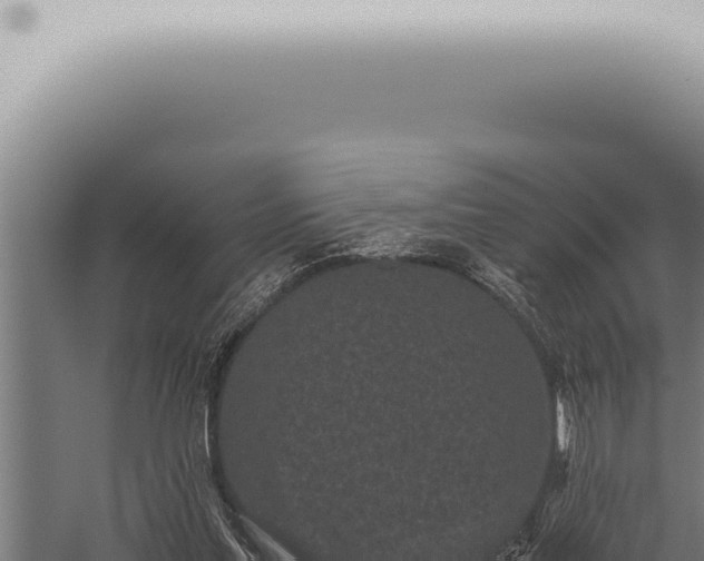 X0000059830205200510281806