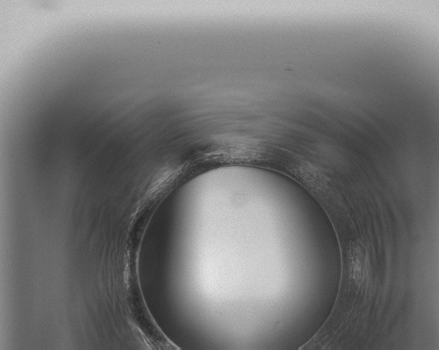 X0000059830206200510281806