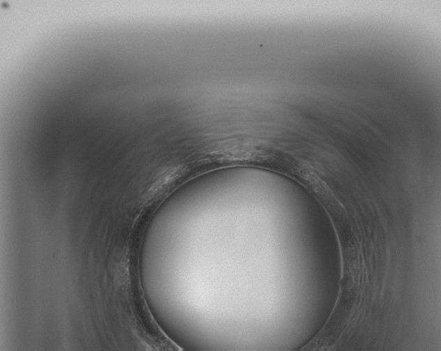 X0000059830207200510281806