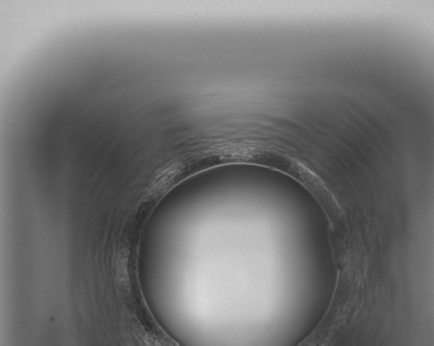 X0000059830209200510281806