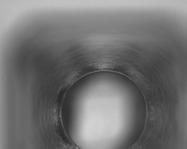 X0000059830210200510281806