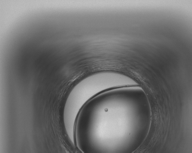 X0000059830211200510281806