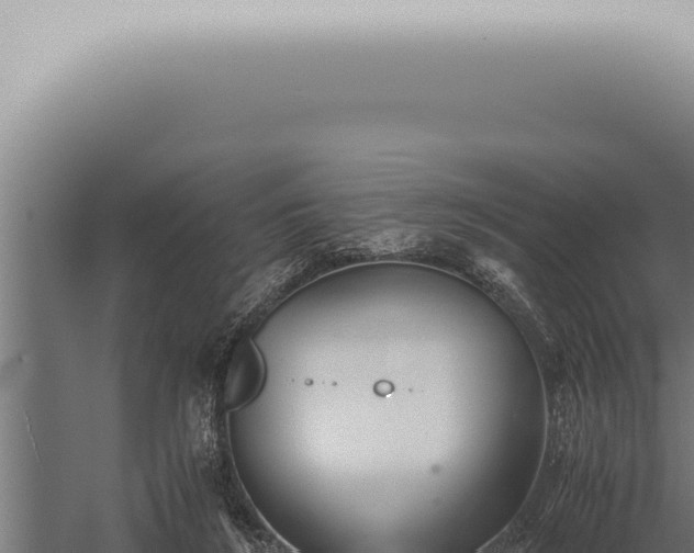 X0000059830212200510281806