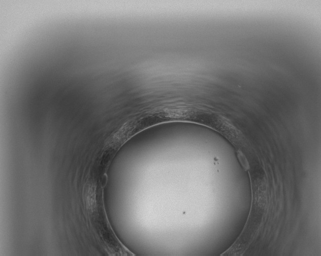 X0000059830213200510281806