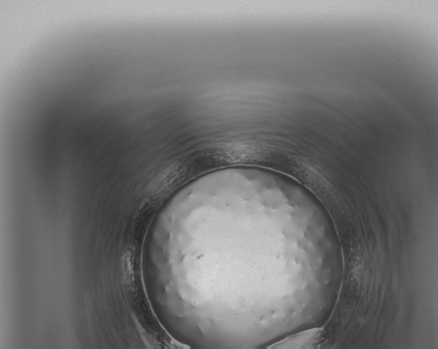 X0000059830214200510281806