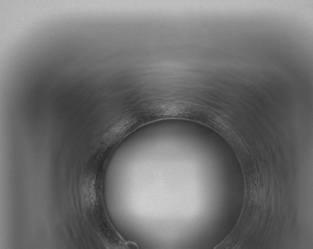 X0000059830216200510281806