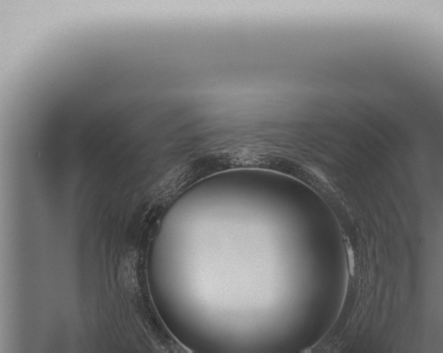 X0000059830217200510281806